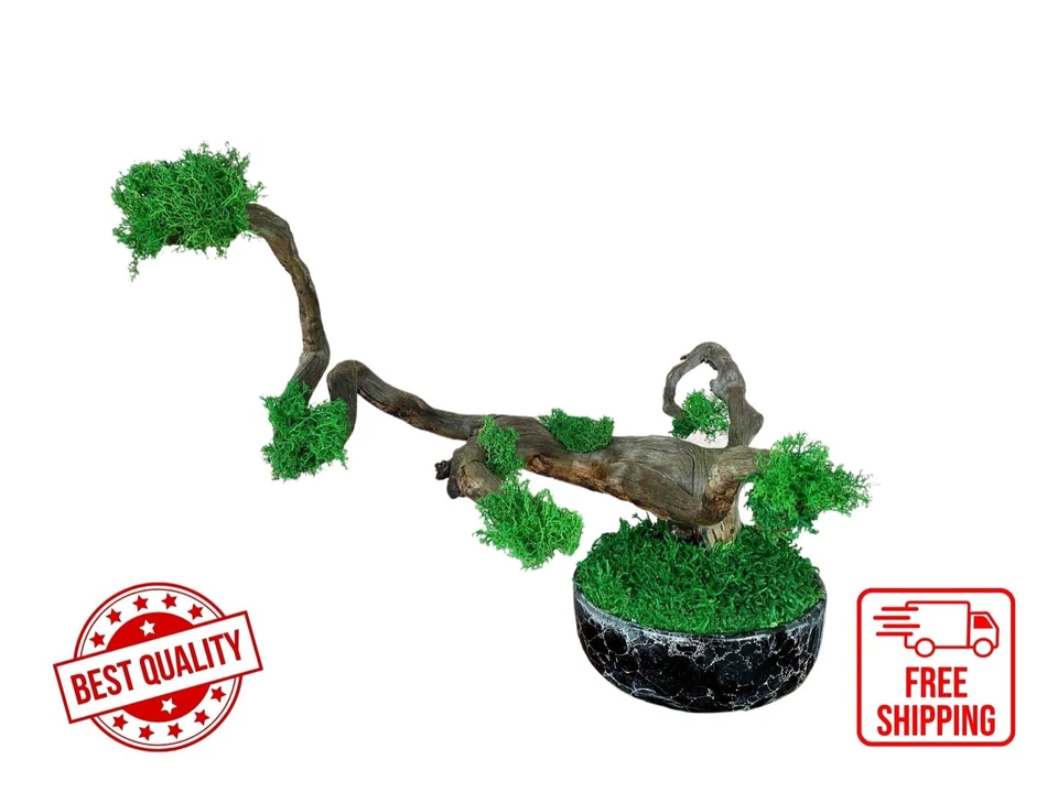 Керамическая ваза дерево мох искусство, реальный дерево ветви, ручной работы домашнего декора, природы декор - Изображение 1 из 4