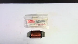 Bobina de iluminación Yamaha IT490 WR500 nueva FABRICANTE DE EQUIPOS ORIGINALES 4V6-85513-20 - Imagen 1 de 1