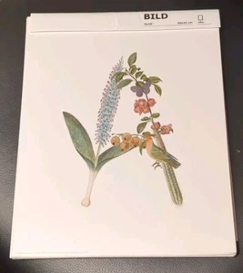 Ikea Set Of 26 BILD Art card A-Z 8"x10" Alphabet Floral Animal Word Letter Wall - Picture 1 of 13