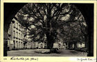 Mont Ste. Odile Odilienberg Elsass AK 1941 Park Baum Bume CPA Grande Cour Hof