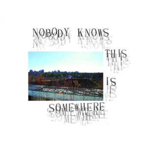 V/A Nobody Knows This Is Somewhere LP US 2017-19 Experimental PSYCH⭐500 MADE⭐NEW - Picture 1 of 4
