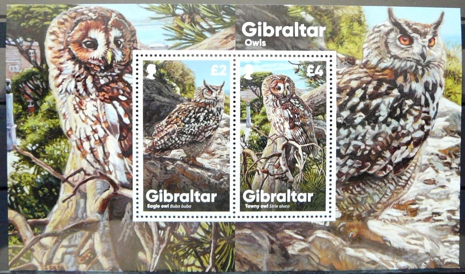 Gibraltar S. Sheet - Gibraltar Owls_2020 - MNH. - Image 1 of 1