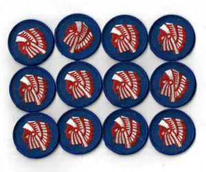 Lot of 12 INDIAN Patrol Patches Full Color Authentic Ready To Use [PH608] - Picture 1 of 1