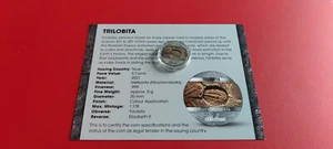 *Selten! Niue 5 Cents 999 Meteorite 2021 *Vergesssene Welt* Trilobita (KOM) - Picture 1 of 4