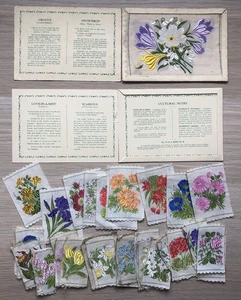31 Kensitas Wix Blumen Zigarettenseide + 2 Postkartenmappen  - Bild 1 von 3