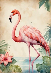 Póster impreso acuarela flamenco rosa imagen A3 A4 A5 - Imagen 1 de 6