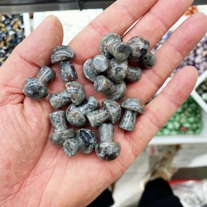 10pcs Natural Yooperlite Reiki Gemstone Mushroom Crystal Quartz Healing Decorate - Picture 1 of 6