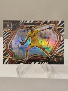 Tarjeta paralela 2022 23 Panini Select 24/25 Bono Field Level Zebra Prizm #241 🔥 - Imagen 1 de 3