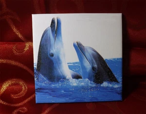 Dekofliese Wandbild Bildfliese Geschenkidee Delfin Delfine (032DP) - Bild 1 von 1
