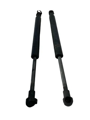 2003-2006 Infiniti G35 Rear Trunk Deck Lid Lock Strut Holding Support Set OEM Foto 1 de 4