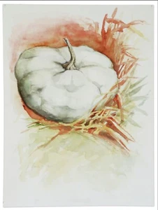 Weißer Kürbis, Original Aquarell Bild 30x40 cm, Gabriele Czerwinski 2007 - Bild 1 von 1