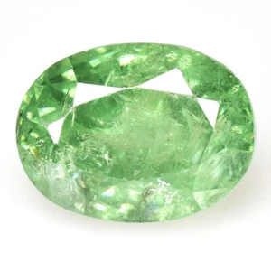 1,60 ct & 7x6,5 mm _ SELTENE NATÜRLICHE UNBEHEIZTE DEMANTOID GRANAT OVAL LOSE EDELSTEINE - Bild 1 von 11
