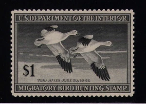 1947 US RW14 $1 Migratory Bird Hunting Duck Stamp Snow Geese MNH VF/XF OG - Picture 1 of 3