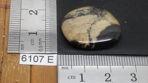 JASPE FEUILLE D'ARGENT pierre plate mineraux lithotherapie soin reiki collection - Picture 1 of 2