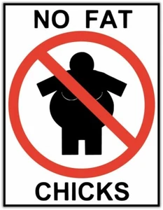 Caja de herramientas de parachoques de coche con letrero de pollitos sin grasa calcomanía adhesiva 4"X5" - Imagen 1 de 1