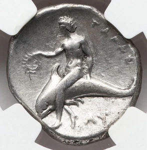 KALABRIEN Taras 302-280 v. Chr. antike griechische Didrachme SILBER Delfin Pferd, NGC Ch sehr schön - Bild 1 von 5