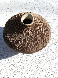 RARE Anne Goldman Coastal Rock Stoneware Art Pottery Sculptural Vase - Picture 1 of 8