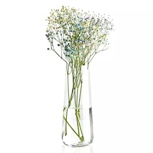 Krosno Vaso Alto in Vetro per Fiori | Collezione Pure | Altezza 240 mm | Vasi... - Picture 1 of 7