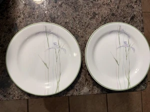 2 Corelle Corning Shadow Iris Pattern 7 ¼” Luncheon Salad Bread Plates USA - Picture 1 of 3