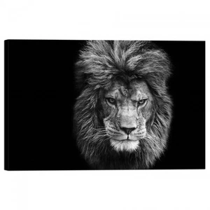 Cuadro Impresión sobre Lienzo con Marco León - Imagen 1 de 1