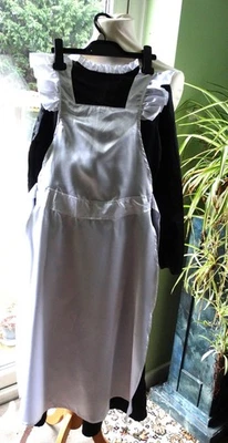 AMSCAN VICTORIAN GIRL FANCY DRESS OUTFIT AGE 11-12 YEARS - SCHOOL BOOK DAY - Image 1 of 4