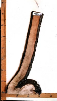 Bretter Sonderposten, Holz, Brett, Bohle, Deko, Schwartenbrett, Rinde, - Bild 1 von 4
