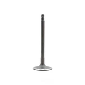 Engine Intake Valve fits 1998-2004 Nissan Frontier Xterra Altima DNJ ENGINE COM - Picture 1 of 1