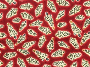 1/2 YD RED DELICATE CHRISTMAS TREE WINTERTIME BY LITTLE QUILTS PRINT FABRIC - Picture 1 of 3