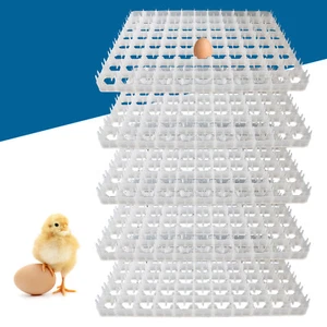 5x 88 Egg Incubator Tray For Poultry Incubator Hatcher Brooder Egg Storage Tray - Picture 1 of 8