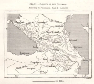 Forests of the Caucasus. Georgia Armenia Azerbaijan. Sketch map 1885 old - Picture 1 of 1