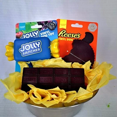 糖果主题狗玩具花束带防滑金属碗 - 给小狗的有趣礼物! — 第 1/4 张图片