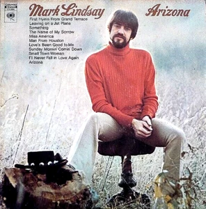 MARK LINDSAY "ARIZONA" PREMIUM QUALITY USED LP (VG+/EX) - Imagen 1 de 1