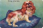 1900 -1920's Victorian Edwardian Scrap Chromolithograph Card -King Charles Dog
