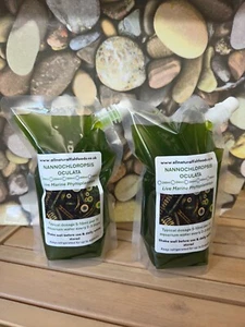 500ml Marine Phytoplankton (Nannochloropsis Oculata) - Free P&P - Reef Food - Picture 1 of 7