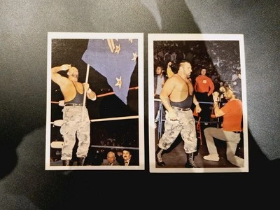 Rare Bushwackers Luke & Butch Rookie NWA WCW Cards -  WWE WWF Wrestling 1988 - Image 1 of 4
