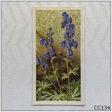 Brooke Bond Wild Flowers Series 3 #43 Monkshood Tea Card (B) (CC134)