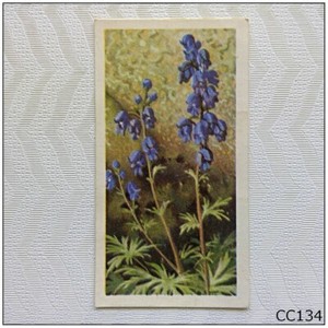 Brooke Bond Wild Flowers Series 3 #43 Monkshood Tea Card (B) (CC134)