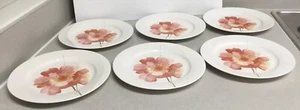 Salad Plates AMORE Porcelain By Oneida 8.5” SET OF 6 - Picture 1 of 5