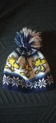 De colección Azul WOODSTOCK Peanuts Gang Invierno Tejido Gorro Nieve Gorra Raro *Usado Foto 1 de 4