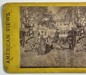 Florida Express Ox Cart Scene, American Views Stereoview Card, ca. 1870s - Picture 1 of 4