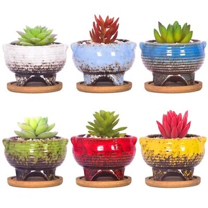Succulent Pots - 4 Inch Small Succulent Plant Pots with Drainage Tray Set of ... - Picture 1 of 8