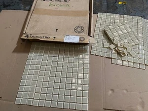 Glasstile Beluga grün (creme) Mosaik Boden-/Wandfliesen 8,5 Platten 25x25cm - Bild 1 von 4