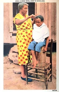 Postal vintage, un buen cultivo de lana en Dixieland, D516, 46738 - Imagen 1 de 1