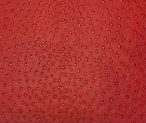 DESIGNER VINYL OSTRICH EMU RED FAUX LEATHER UPHOLSTERY FABRIC BY YARD 54"W - Picture 1 of 4
