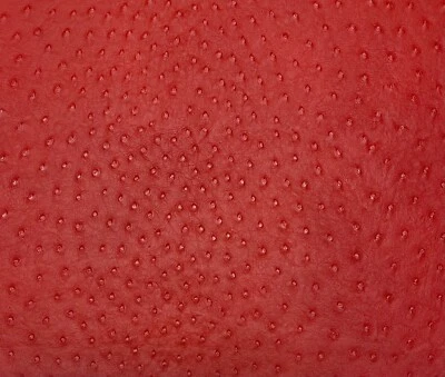 DESIGNER VINYL OSTRICH EMU RED FAUX LEATHER UPHOLSTERY FABRIC BY YARD 54"W - Image 1 of 4
