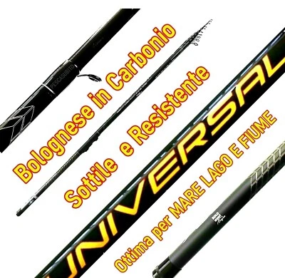 Canna Bolognese in Carbonio Pesca Mare Lago Fiume Orata Barbo Passata