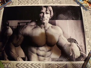Arnold Schwarzenegger Poster 12.5x18 - Picture 1 of 1