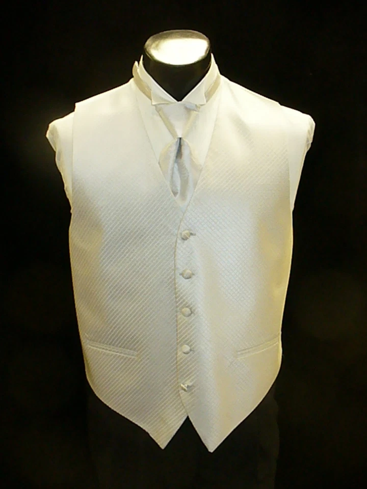 Formal Vest Full Back - PLATINUM Palmero Vest VF841 - Image 1 of 1