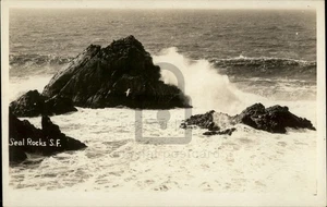 RPPC San Francisco,CA Seal Rocks Real Photo Postcard c1920s California - Picture 1 of 5