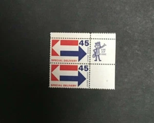 E22 GUTTER SNIPE 45 Centesimi Consegna Speciale Coppia MINT NH OG - Foto 1 di 1